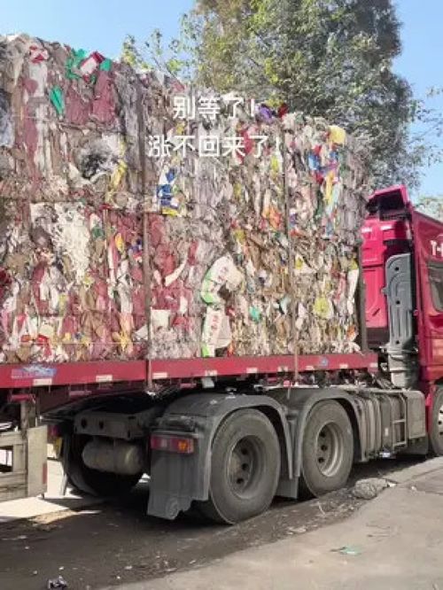 廢紙行情與煤炭制品銷售分析 造紙廠貨源充足與市場機遇探討